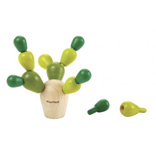 Cacto em Equilíbrio